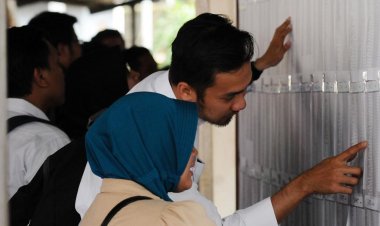 Ini Dia Hasil Seleksi Kompetensi Dasar CPNS Kemendikbud 2018