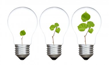 Growth Mindset: Kunci Sukses dalam Mengajar