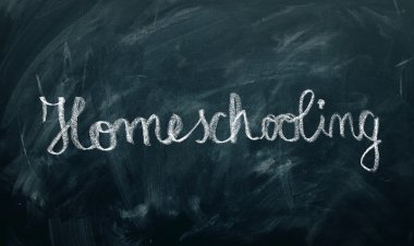 Tentang Homeschooling dan Tips Memilihnya Dari Kak Seto