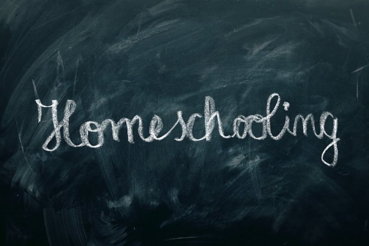 Tentang Homeschooling dan Tips Memilihnya Dari Kak Seto