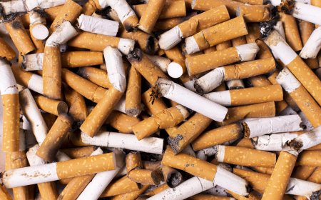 Mencegah Bahaya Rokok di Kalangan Pelajar: Pendidikan, Pencegahan, dan Peran Masyarakat